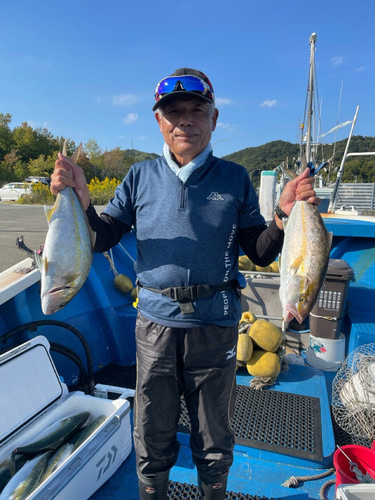 ブリの釣果