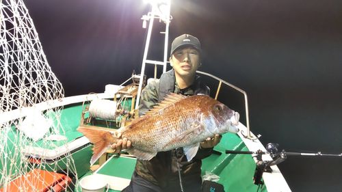 マダイの釣果