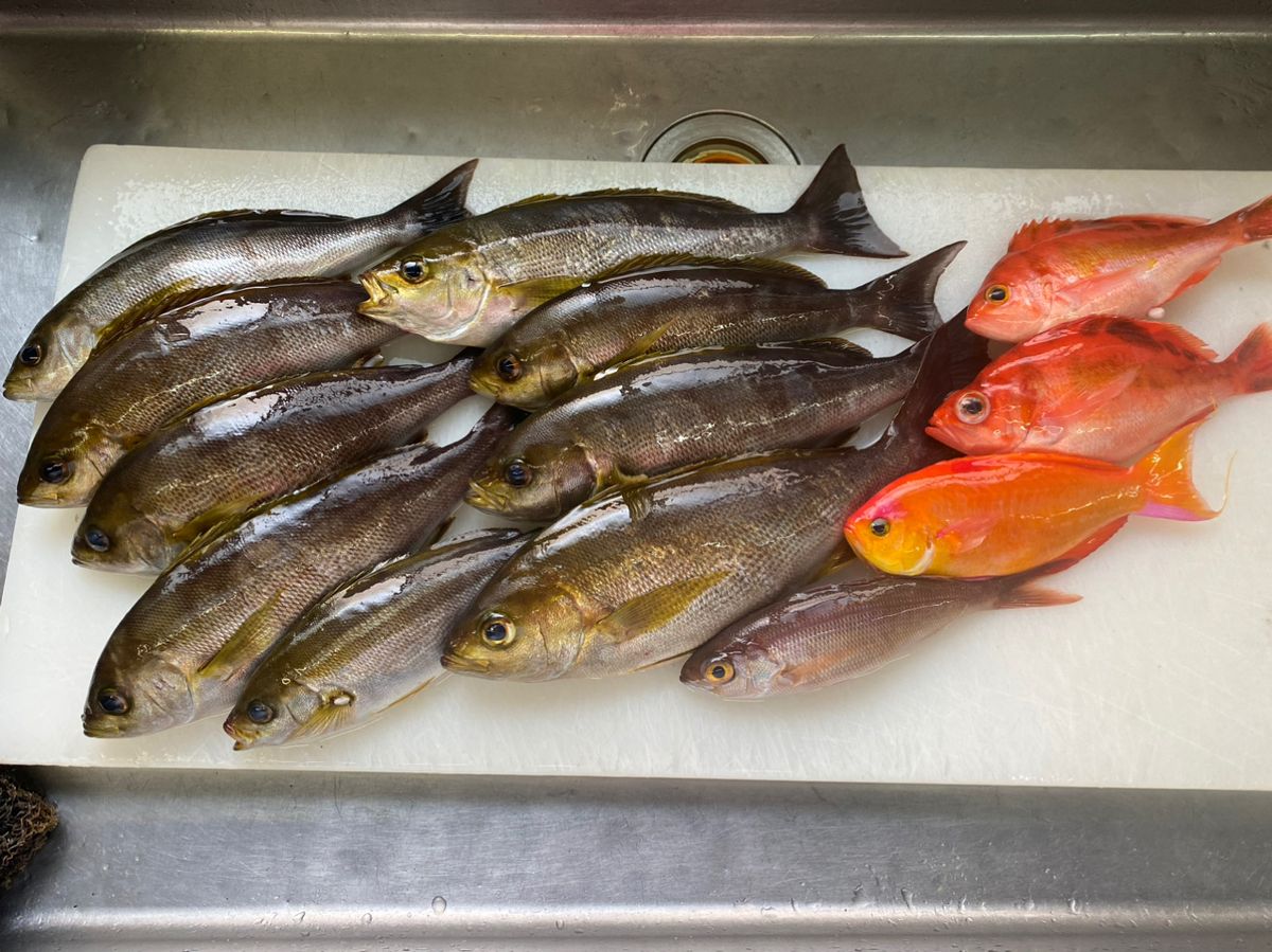 つぼ@さんの釣果 2枚目の画像