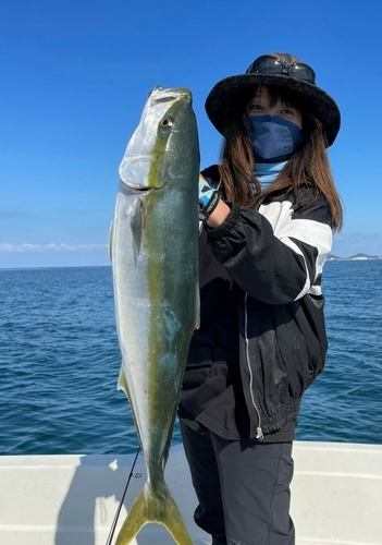 ブリの釣果