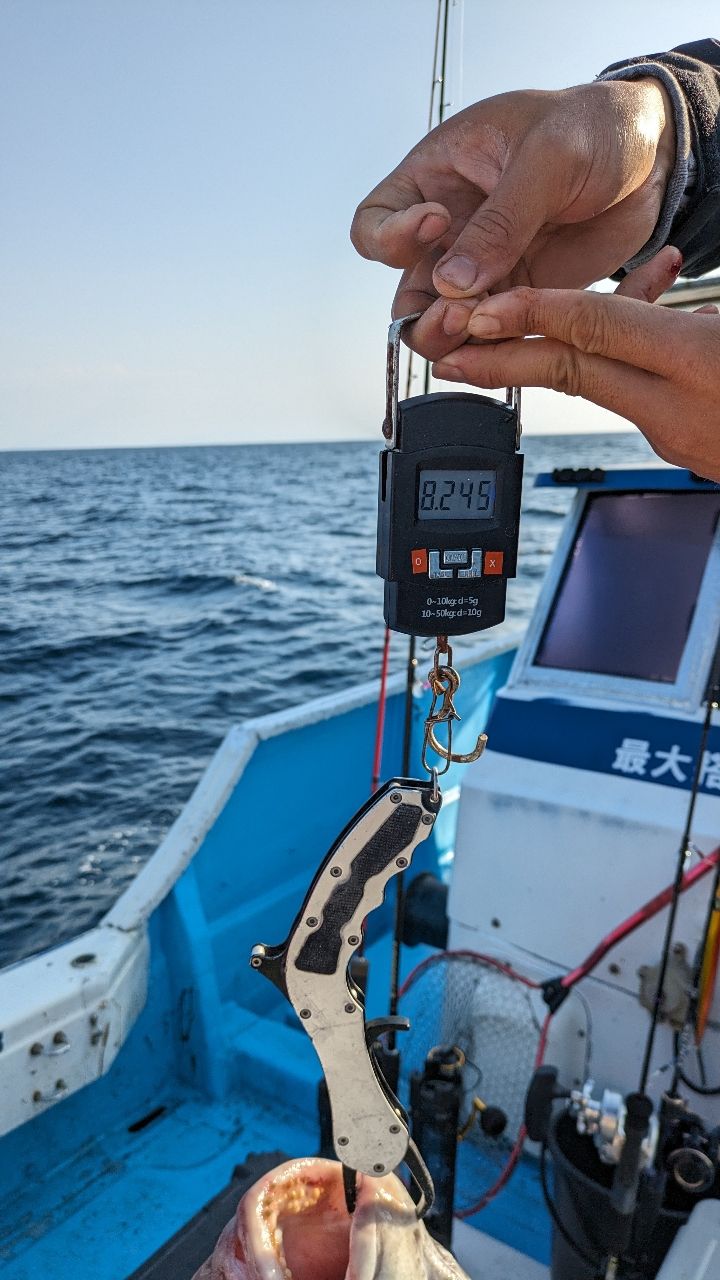 まるcomさんの釣果 3枚目の画像