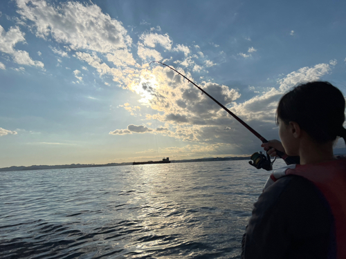 シロギスの釣果