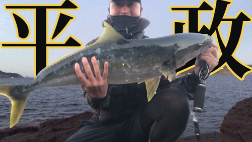 ヒラマサの釣果