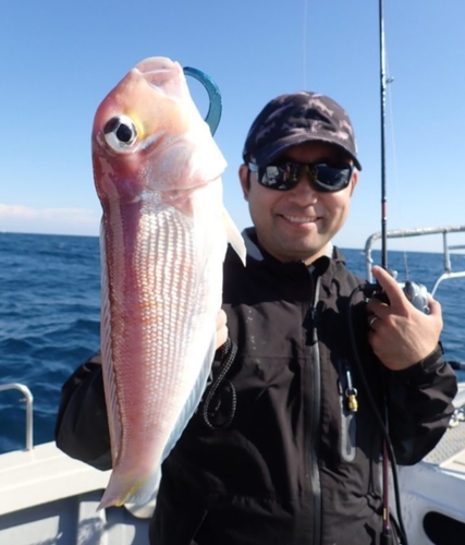 アマダイの釣果