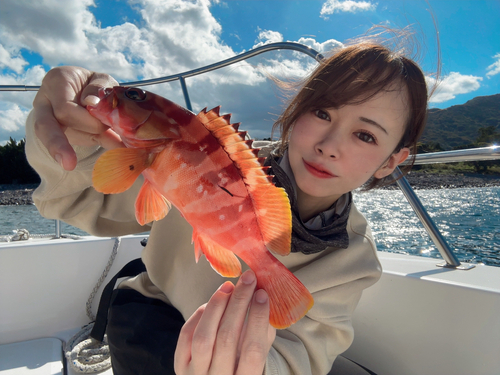 アカハタの釣果