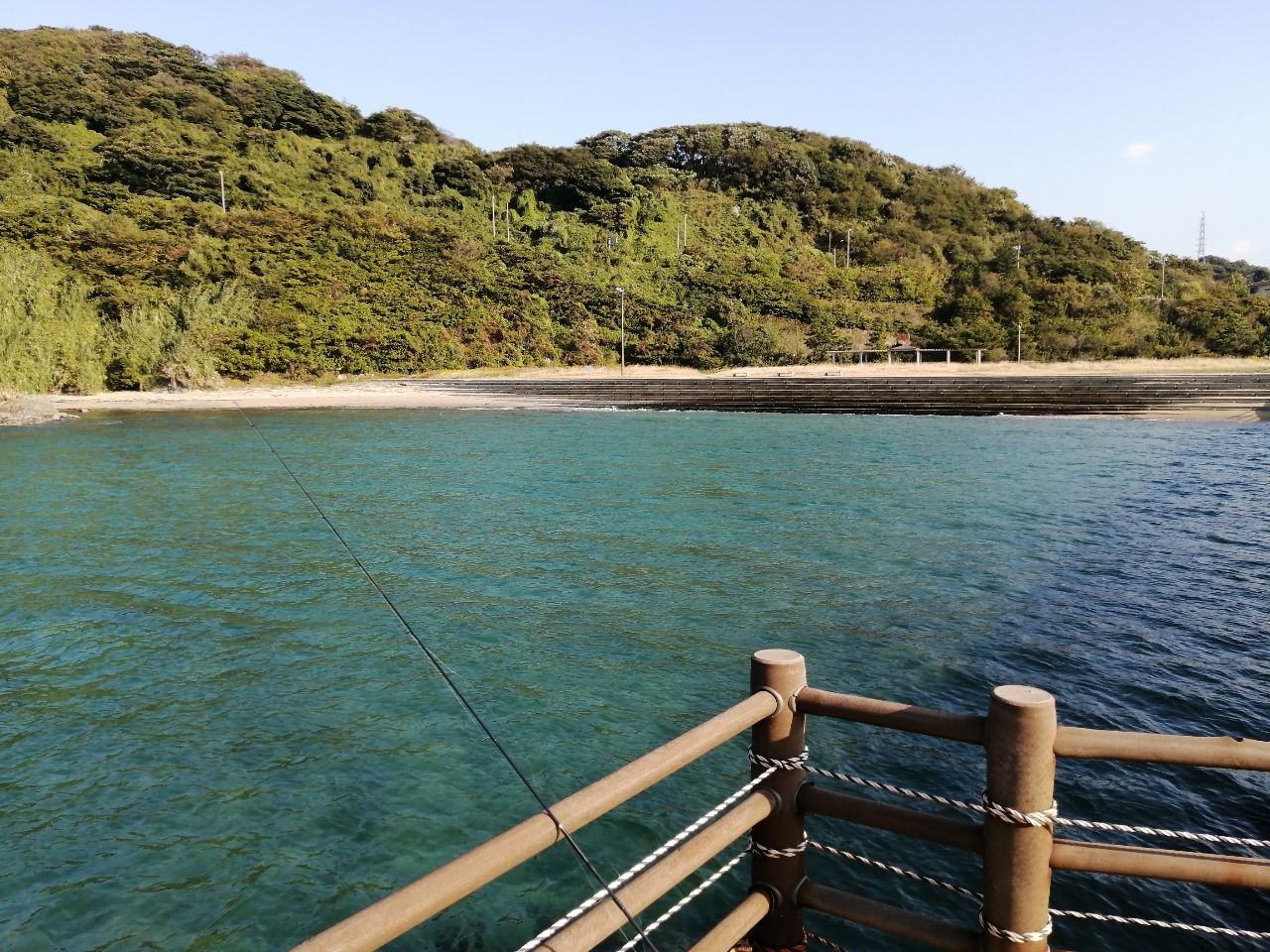 シロギス
