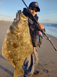 ヒラメの釣果