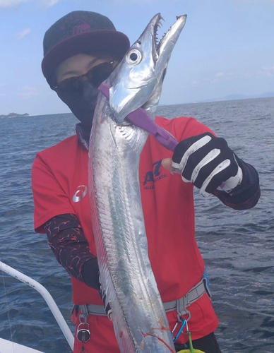 タチウオの釣果