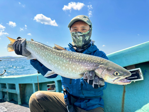 アメマスの釣果