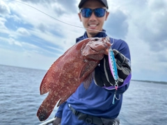 アザハタの釣果