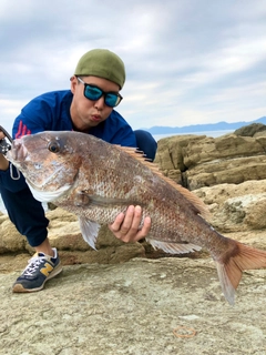 タイの釣果