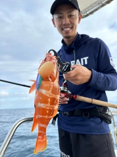 ハンゴーミーバイの釣果