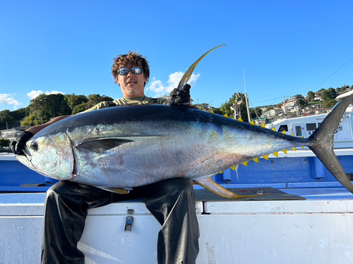 キハダマグロの釣果