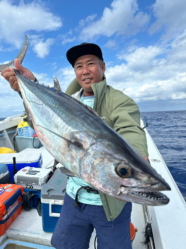 イソマグロの釣果