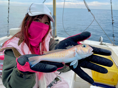 シロアマダイの釣果