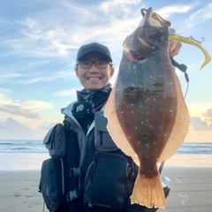 ヒラメの釣果