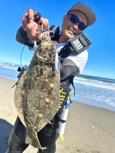 ヒラメの釣果