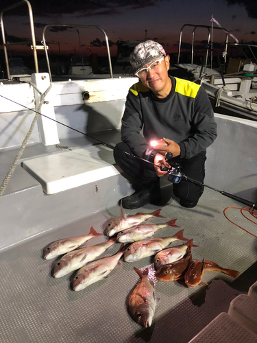 マダイの釣果