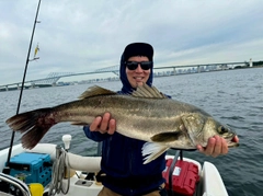 シーバスの釣果