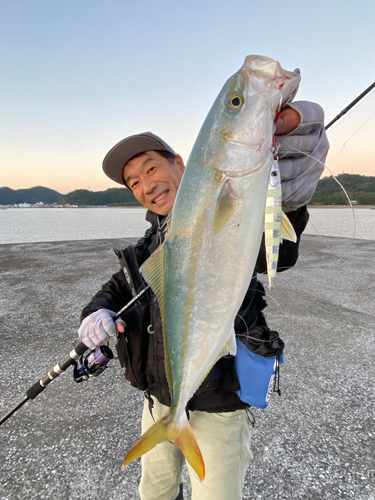 ヤズの釣果