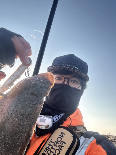 シタビラメの釣果