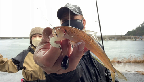 エソの釣果