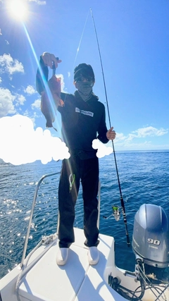 オオモンハタの釣果