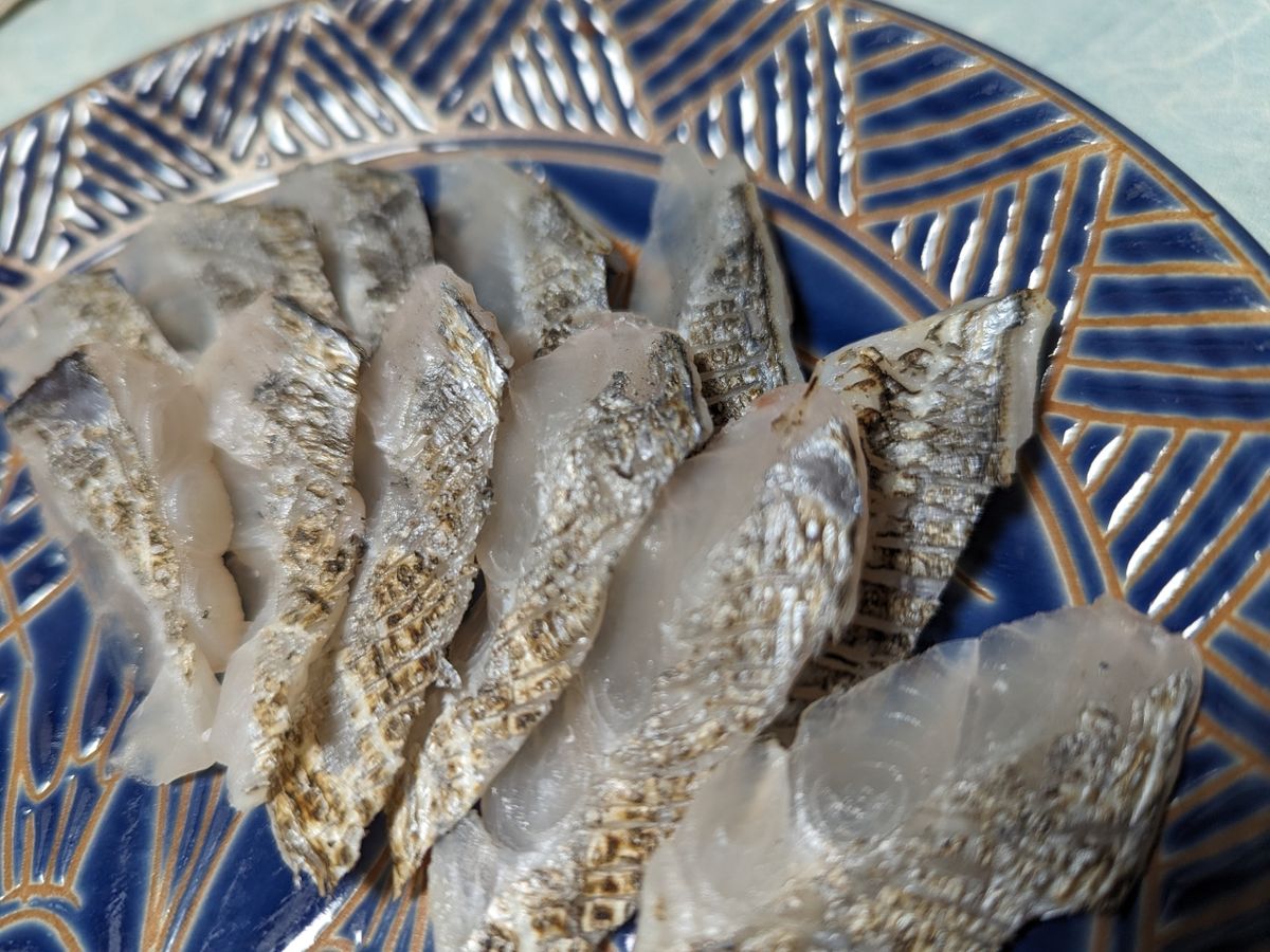 nabekoda60145345さんの釣果 2枚目の画像