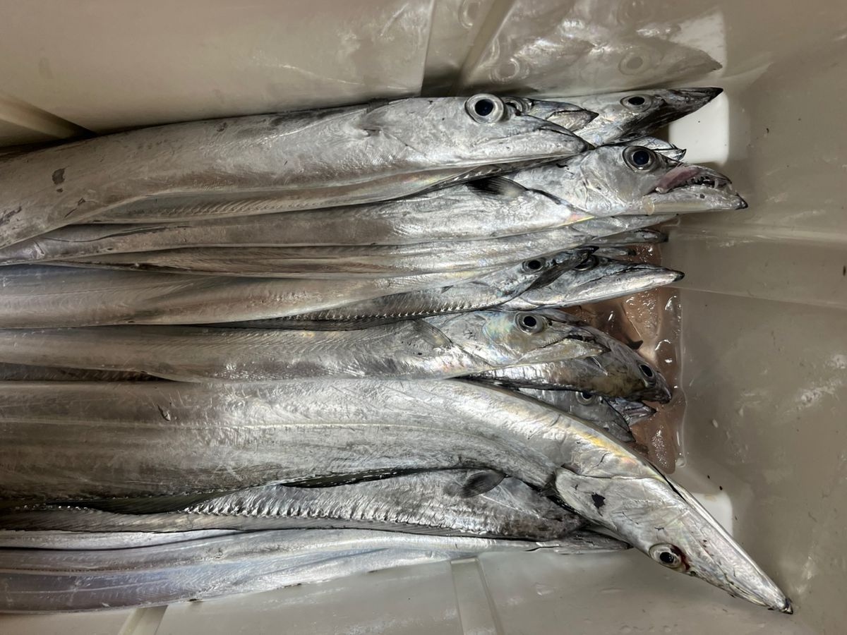 まごころ本舗さんの釣果 1枚目の画像