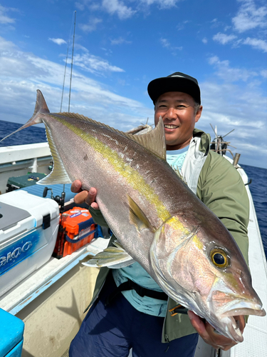 ヒレナガカンパチの釣果