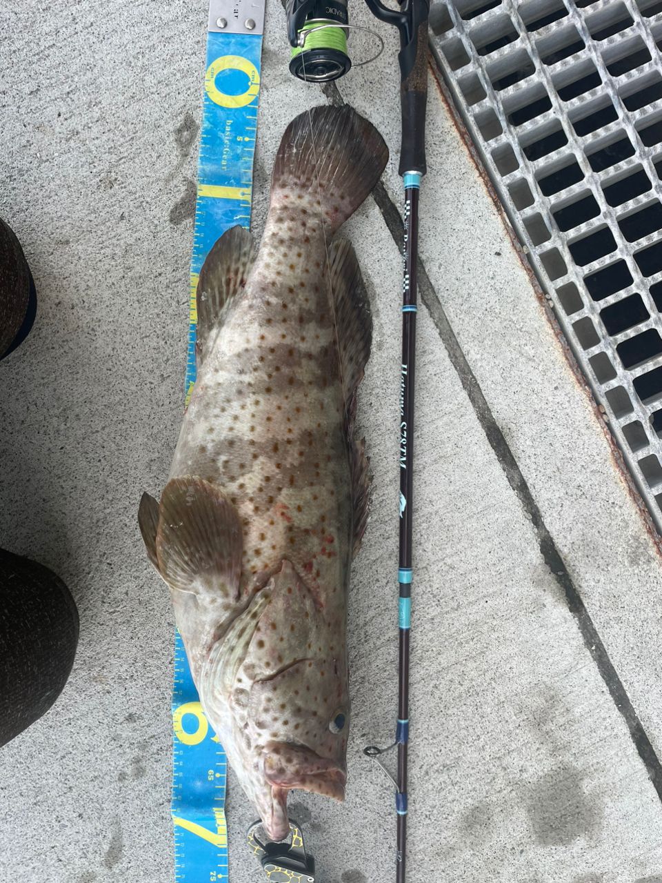 のーぼりぃさんの釣果 1枚目の画像