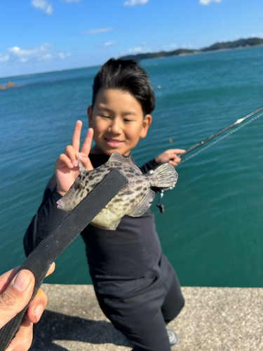 カワハギの釣果