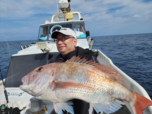 マハタの釣果