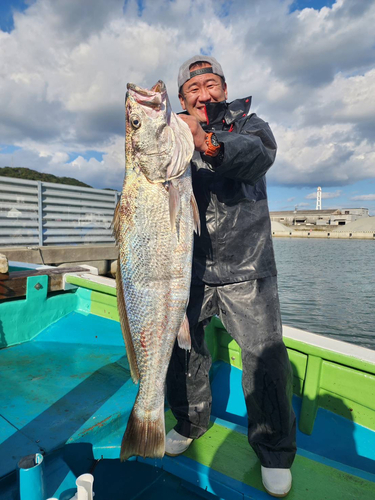 メジロの釣果