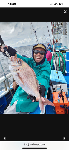 タイの釣果