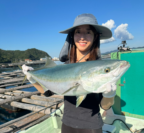 メジロの釣果