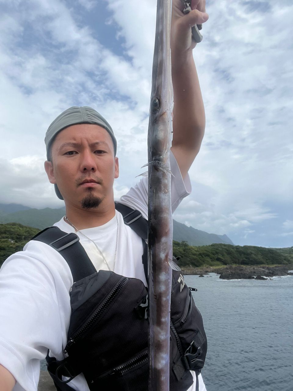 アオヤガラ
