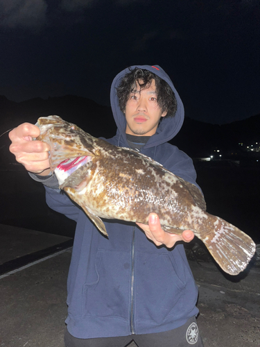 ベッコウゾイの釣果