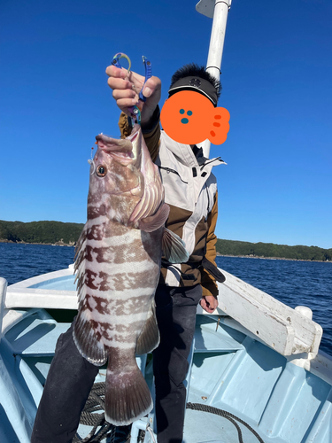 マハタの釣果