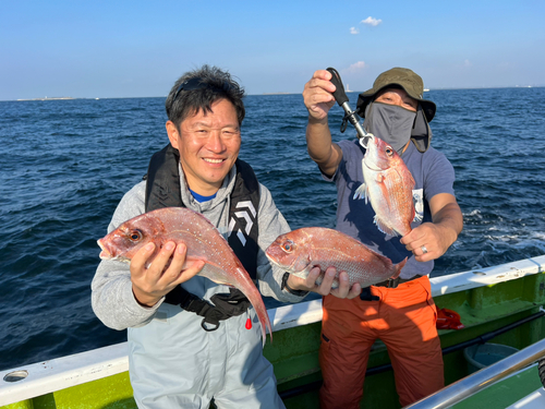 マダイの釣果