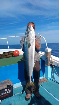 ヒラマサの釣果