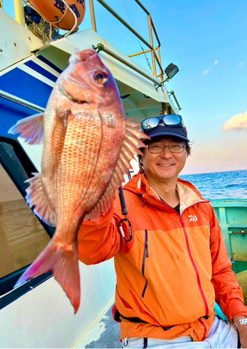 マダイの釣果