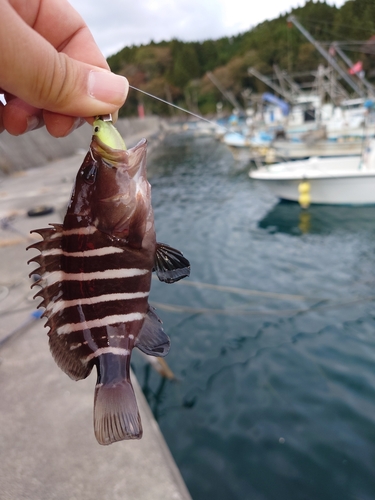 釣果