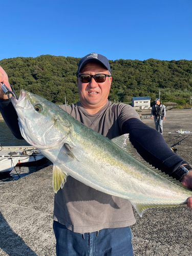 ヤズの釣果