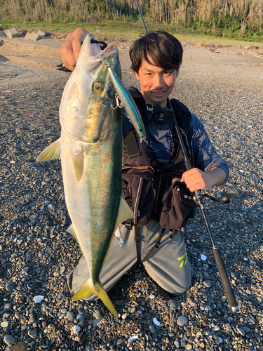 ワラサの釣果