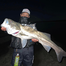 すぐっちゃんまんの釣果