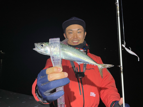 サバの釣果