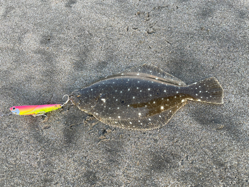 ソゲの釣果