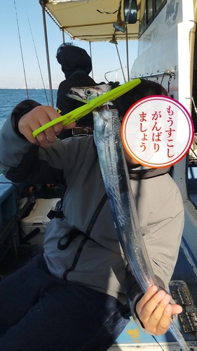 タチウオの釣果