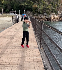 ハマチの釣果